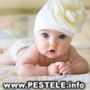 avatare%20poze%20bebelusi%20balansoar%20bebelus%20de%206%20luni%20bebelus%20de%206%20luni%20bebelus%