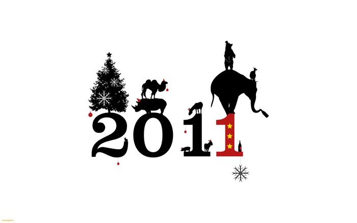 Anul Nou 2011 - anul nou 2011