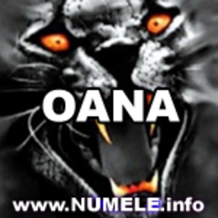 171-OANA%20avatare%20nume%20baieti[1]