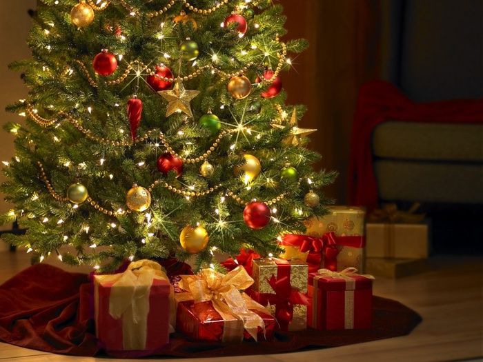 Christmas (39)