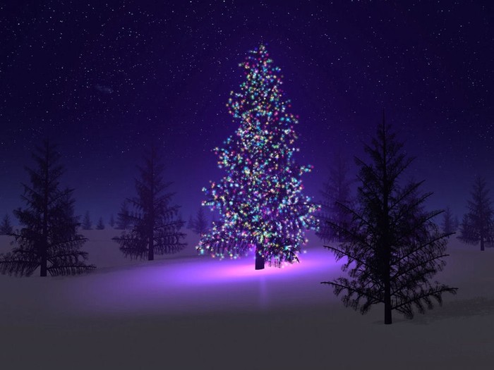 Christmas (46)