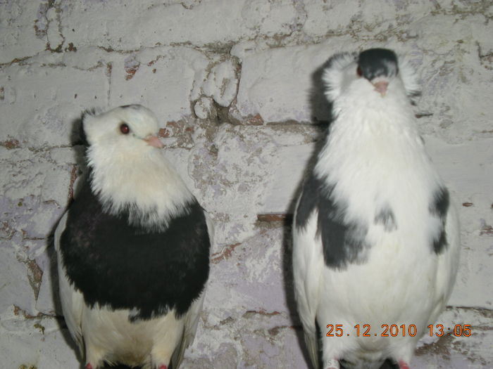 DSCN2844 - poze noi jucatori