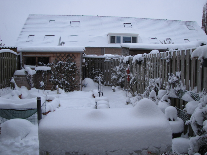 Iarna in gradina 24 dec 2010 (1) - gradina spate 2010