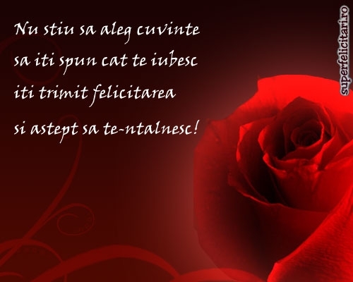 trandafir04