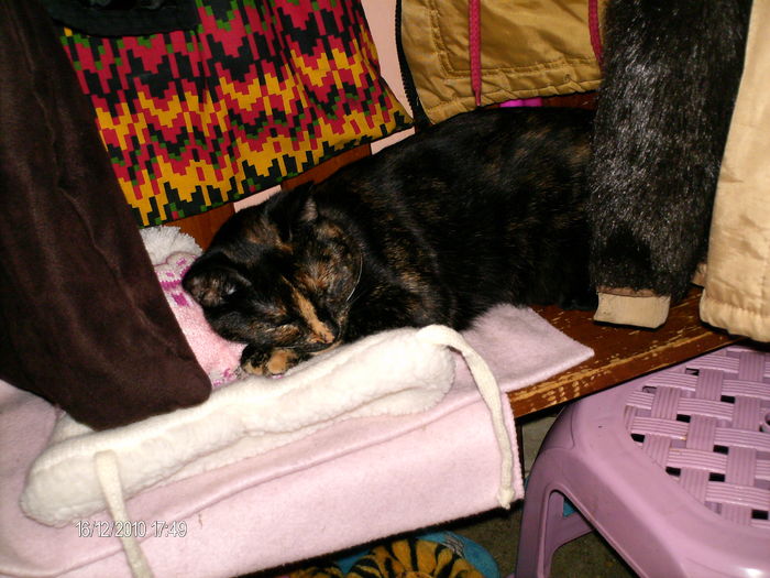 somn adanc...sub hainele din cuier