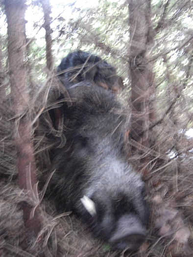 Radar, utankereses - Radar