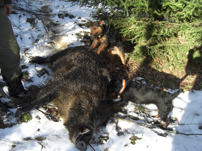Radar si Zana, utankereses - Radar