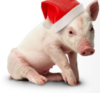 christmas_pig - Spiritul Craciunului