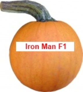 Iron Man F1