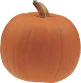 Autumn Gold F1 - Medium Pumpkins