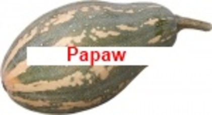 Papaw - Mix2