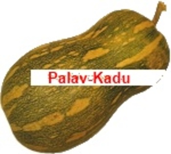 Palav-Kadu