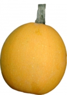 Pomme d\'Or