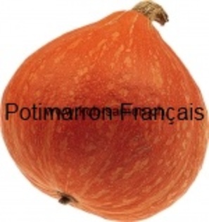 Potimarron Français