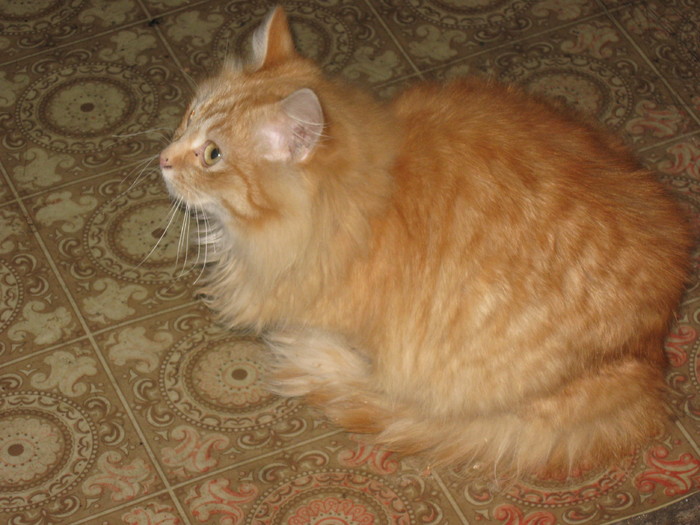 IMG_1065 - Prieteni jucausi