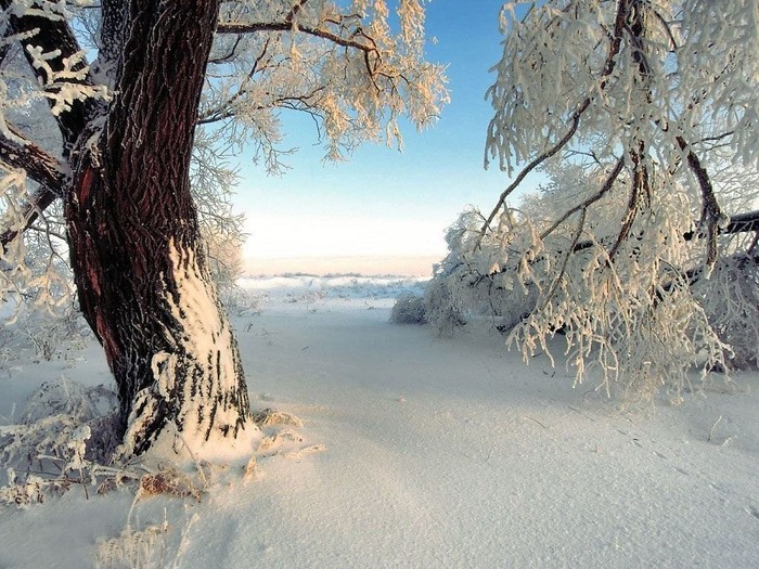 wallpaper-imagini-iarna_031 - Peisaje frumoase