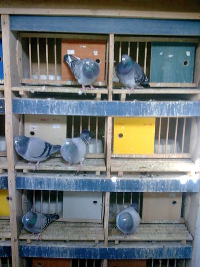 Imag.  maturi  2010