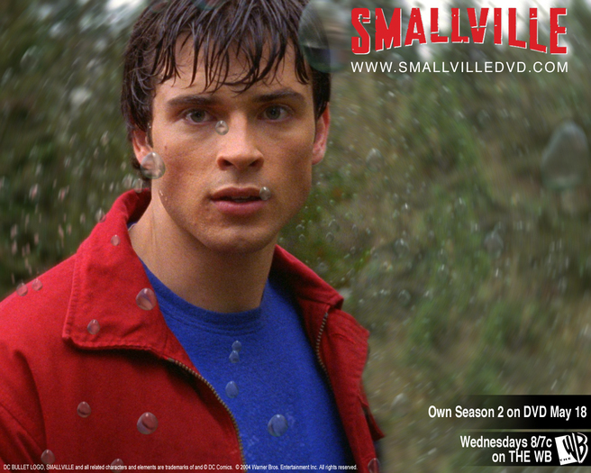 Smallville (47)