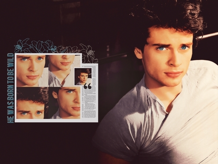 Tom Welling (41)