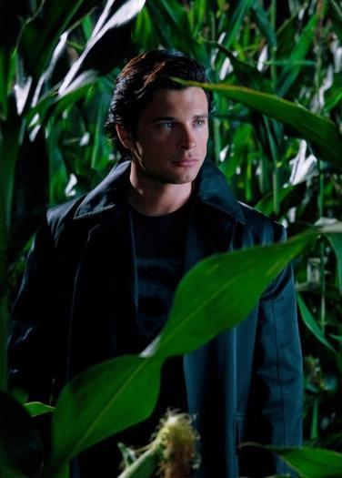 Tom Welling (53)