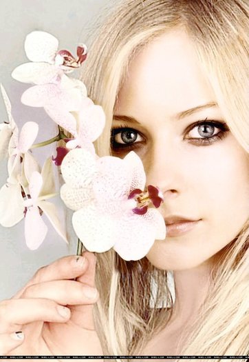 Avril Lavigne  (48)