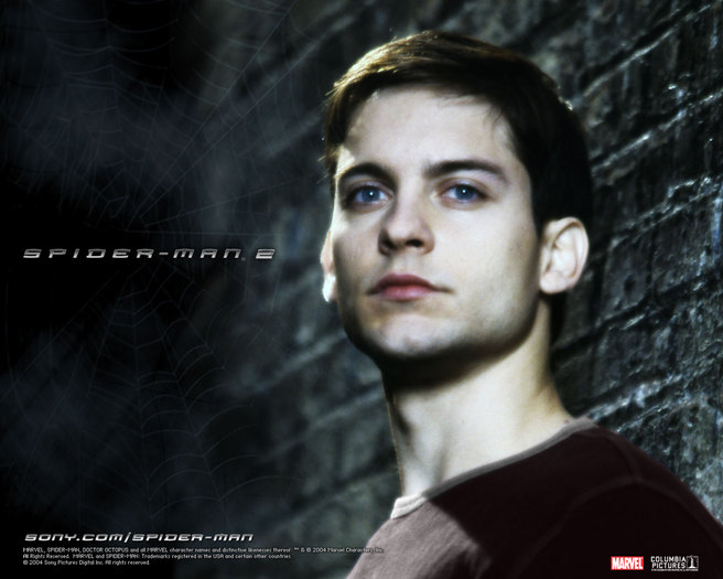 Spider-man 2 (12)