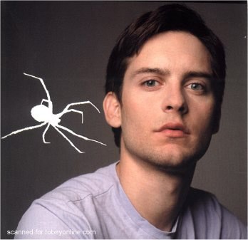 Tobey Maguire (12) - Tobey Maguire