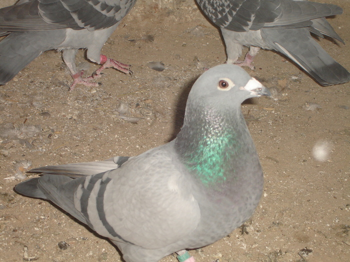 DSC01757