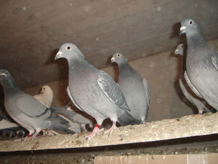 DSC01762