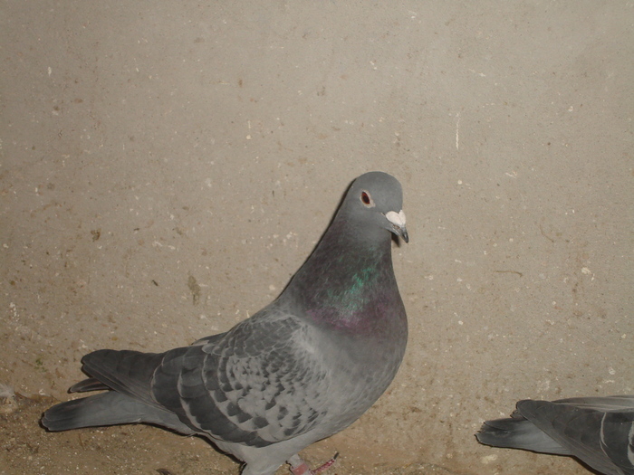 DSC01770