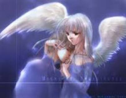 imagesCAE2T93K - anime angel