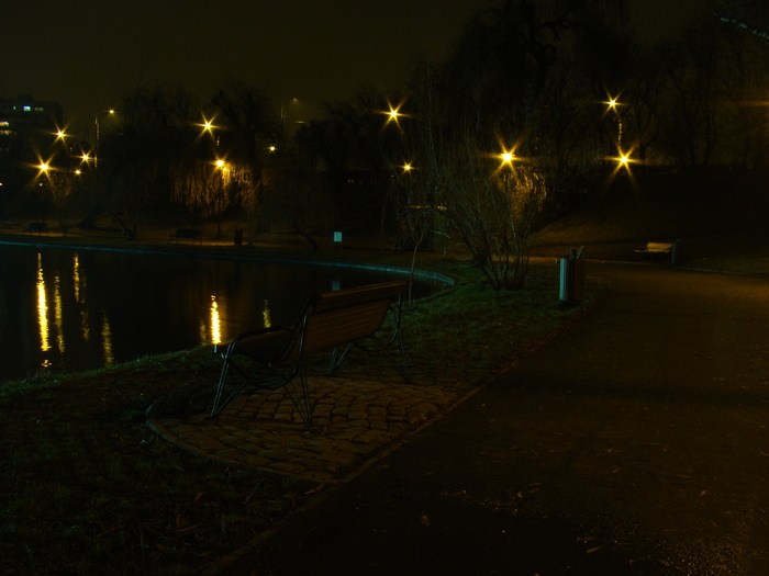 DSC07092 - Noaptea in parc