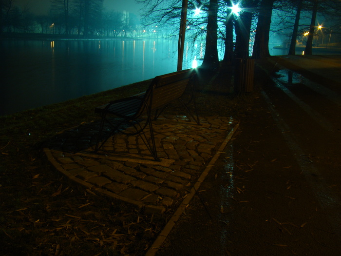 DSC07093 - Noaptea in parc