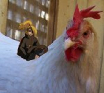 wrong_bird_deidara__O_by_SirLeaderPlushie