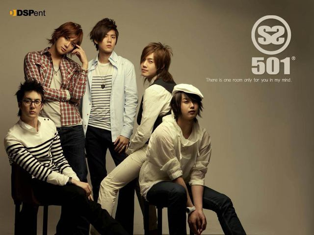 ss5011 - SS501