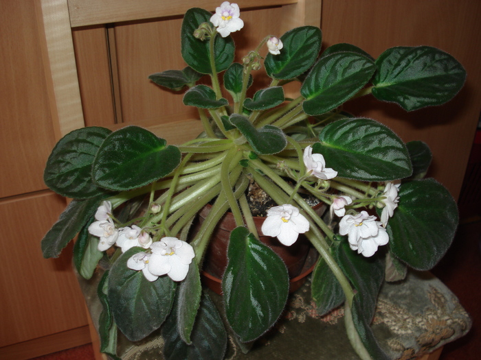 2 003