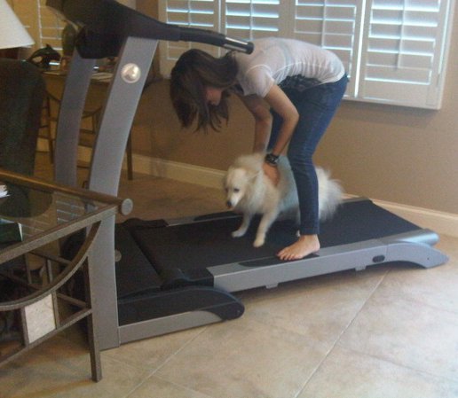 nicole-anderson-twitter-BDLT-3