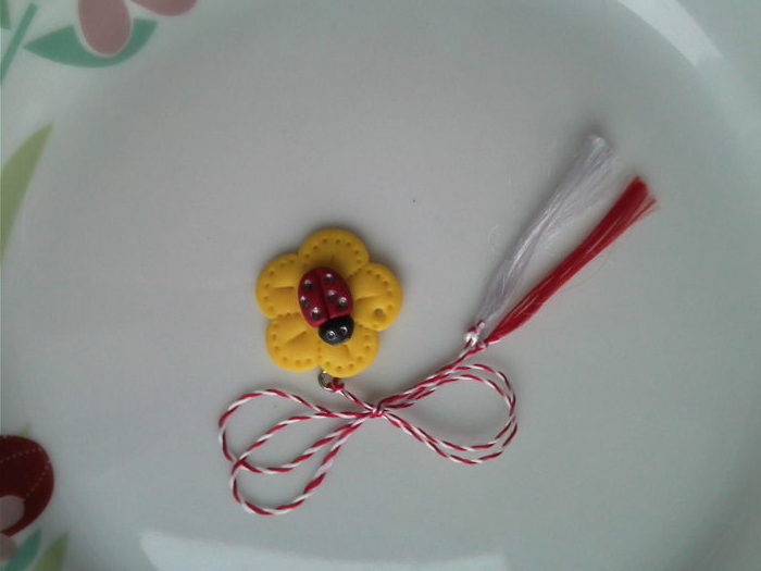 IMG3894MARTISOR  FIMO 4 LEI