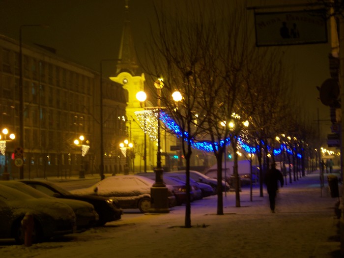 100_6347 - 26 Decembrie 2010Timisoara