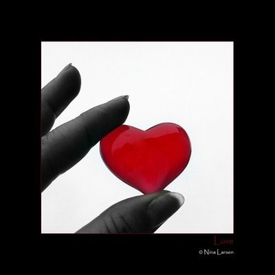 heart,love,photography,red-02c9e0fc25692f2498f806c8b82a9704_h - Poze Cu Inimi Frumoase