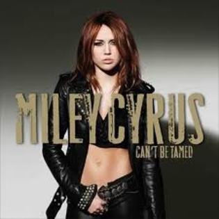 5 - miley cyrus cant be tamed