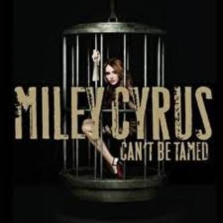 6 - miley cyrus cant be tamed