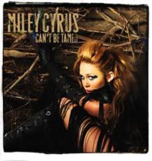 13 - miley cyrus cant be tamed