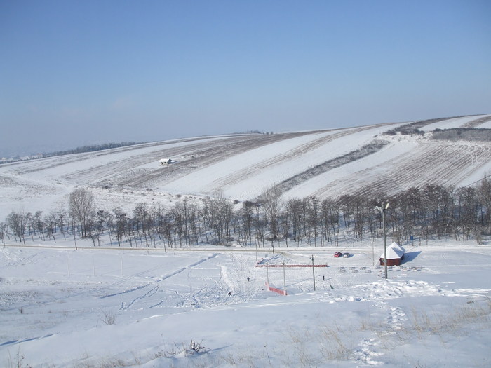 partia de sanius din Vaslui - Iarna 2010