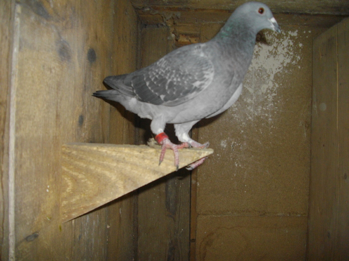 IMGP4656