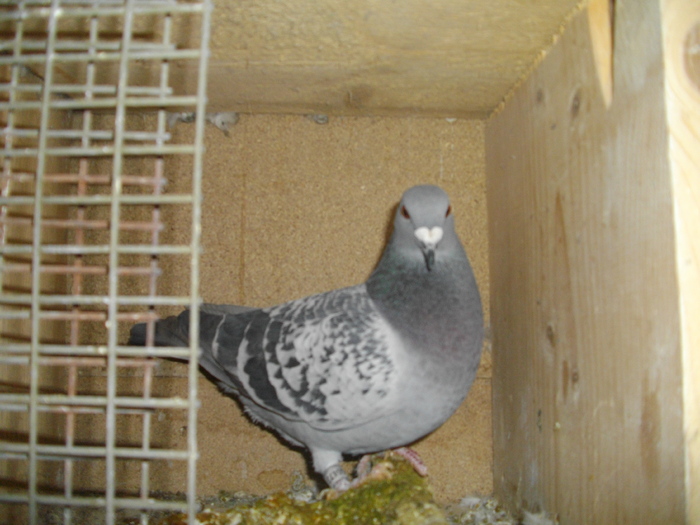 IMGP4659