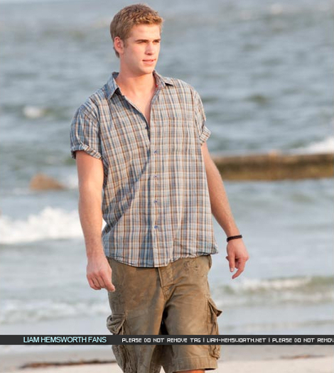 Liam Hemsworth (15)