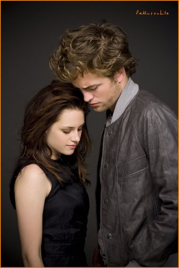 Twilight (10) - Twilight- New Moon- Eclipse