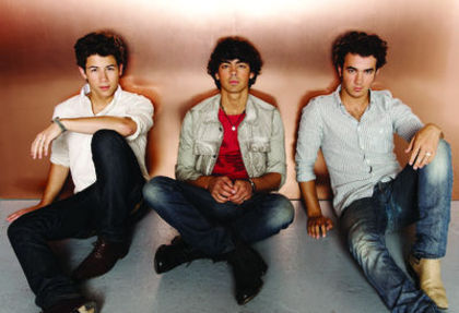 Jonas Brothers (21)