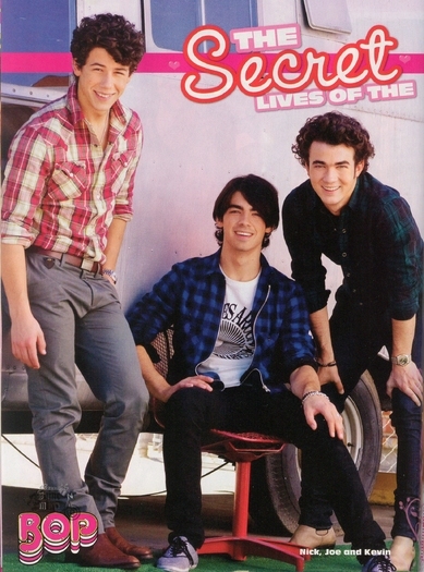 Jonas Brothers (36)